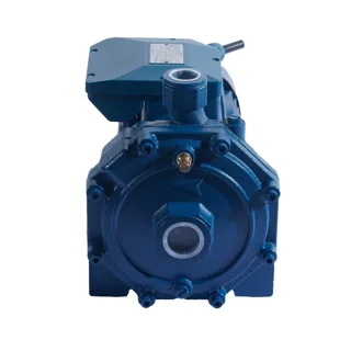 الکتروپمپ دو پروانه ورما 3 اسب پروانه استیل مدل CB310 - 10141 - 03